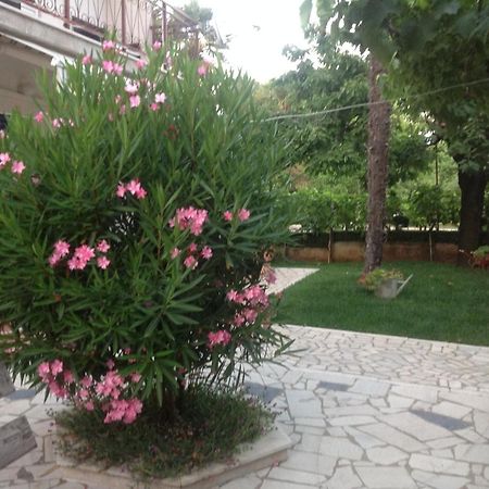 Vila Alma Porec Luaran gambar